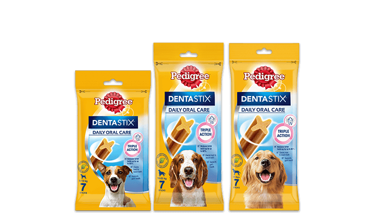 Coles pedigree dentastix 2025