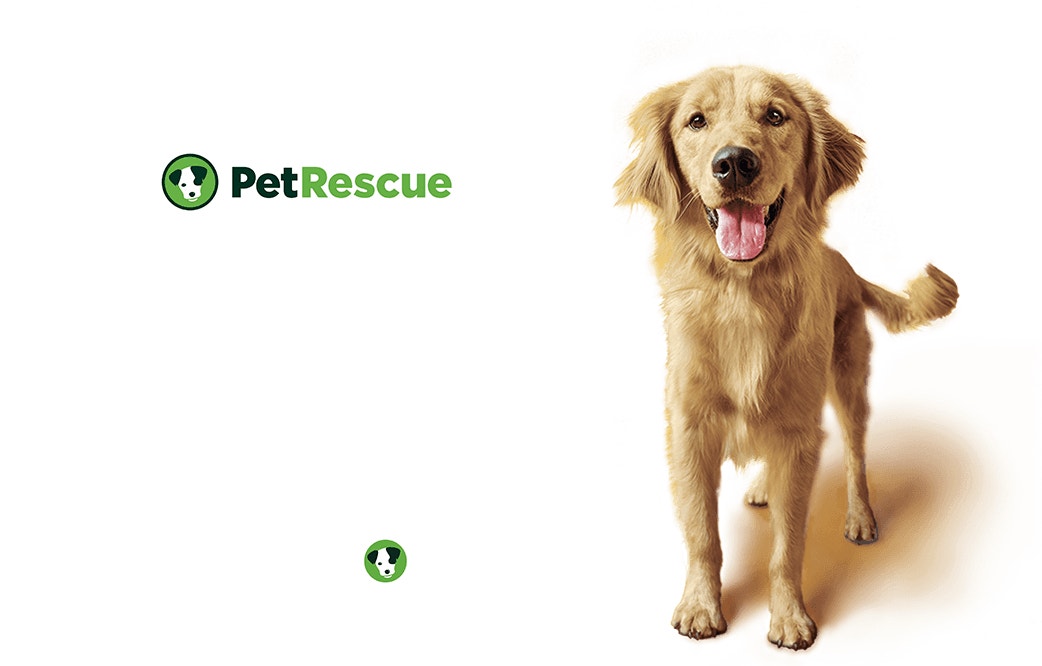 PetRescue hero