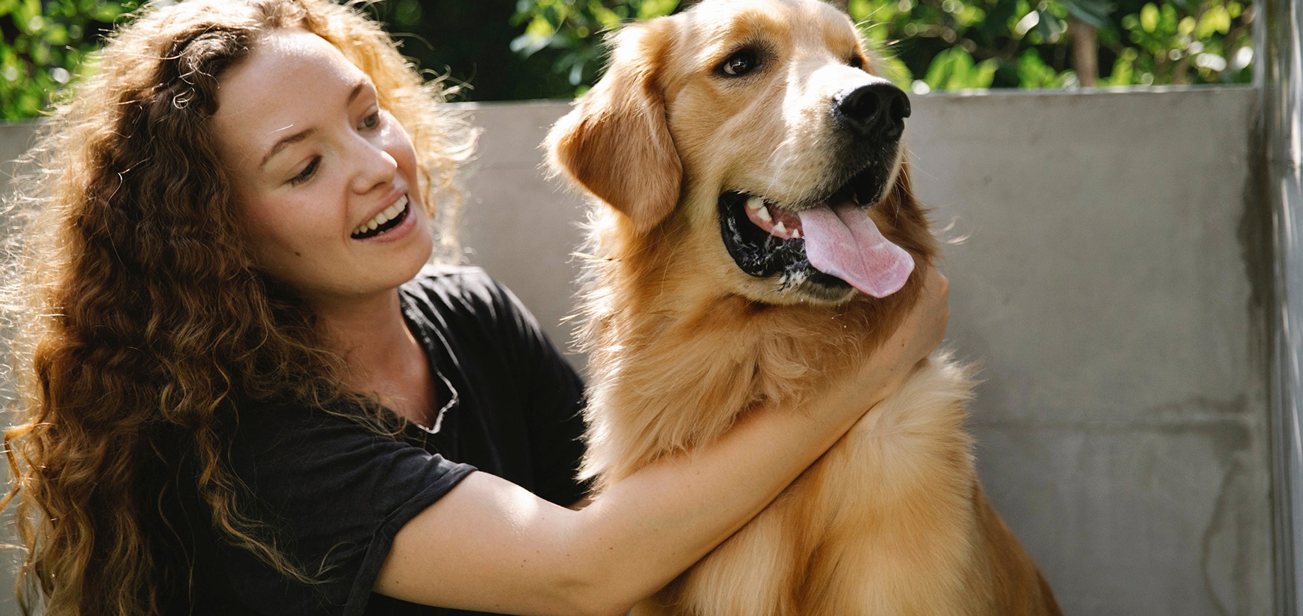 Ped M9 - Benefits of Owning Pexels Blue Bird