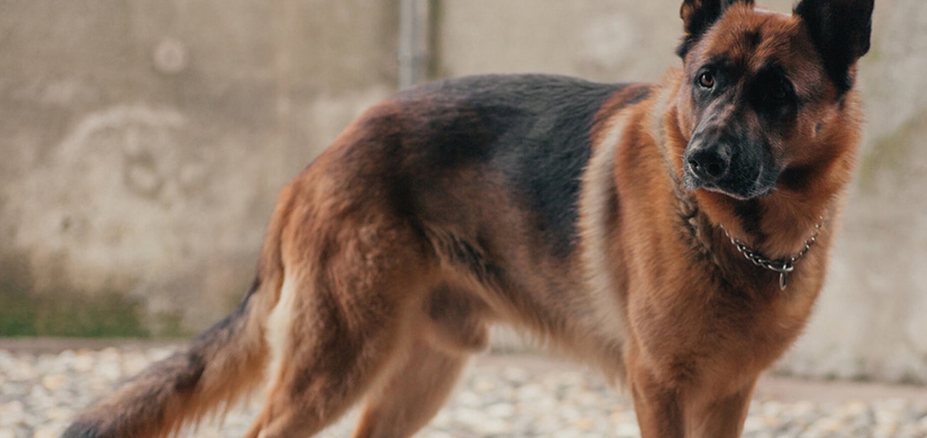 Things to consider - Desktop