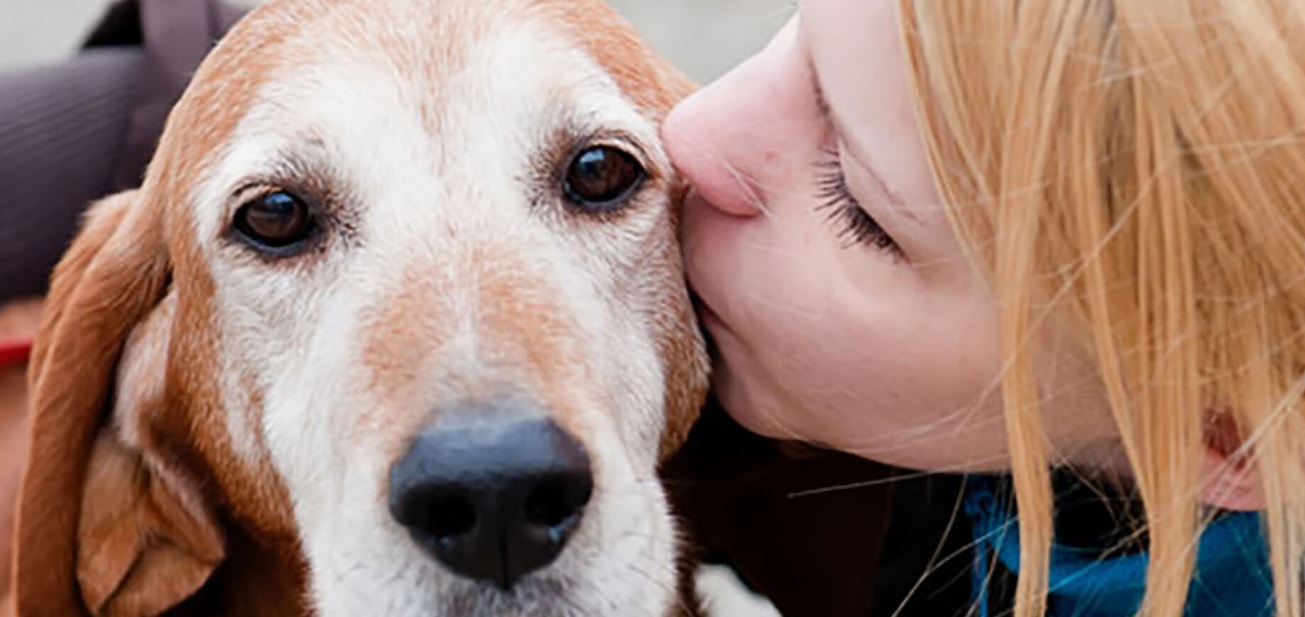 Ask a vet: How do I ensure my puppy bonds with me? - Desktop