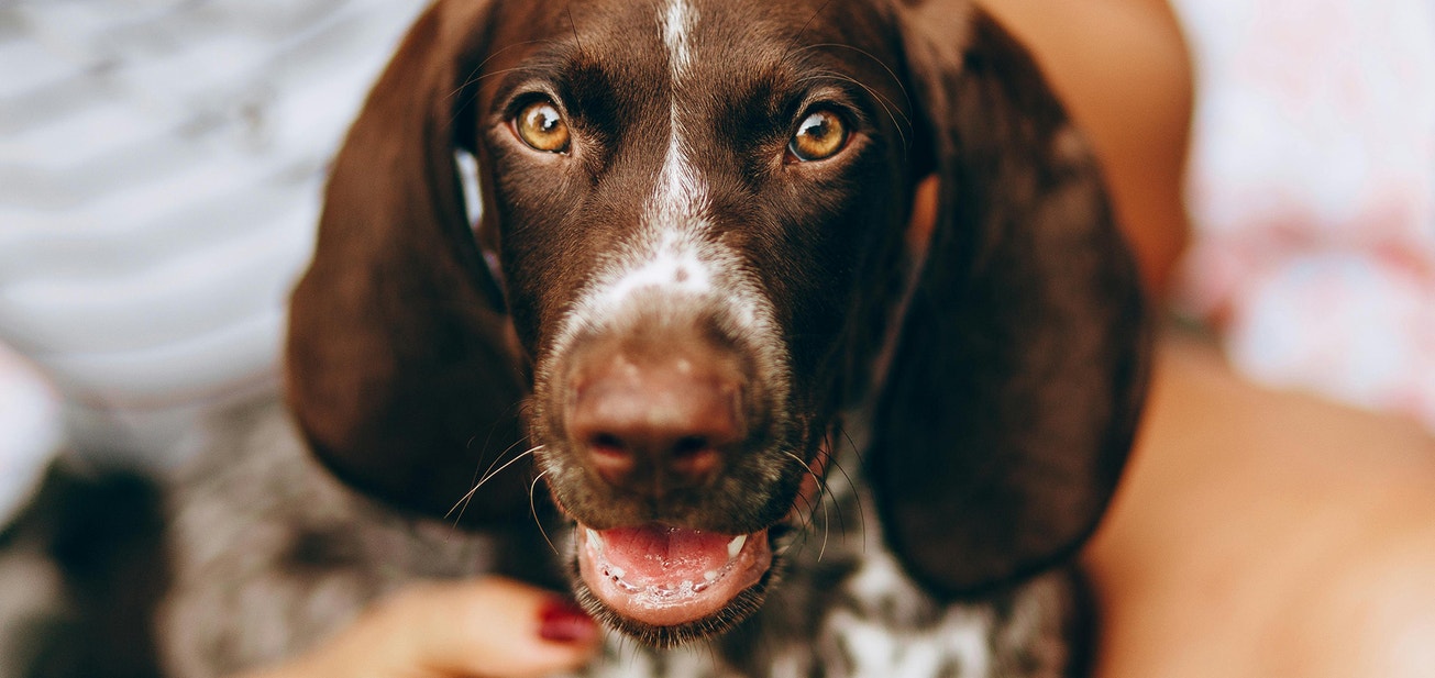 Dental Concerns To Keep An Eye Out For - Desktop