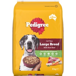 PEDIGREE® Large Breed Dry Dog Food With Real Beef image