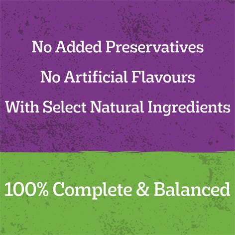 image 9310022018107_4_PEDIGREE_Adult_Wet_Dog_Food_with_Chicken__Vegies___Gravy_Casserole1