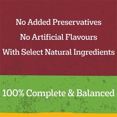 image 9310022018206_4_PEDIGREE_Adult_Wet_Dog_Food_with_Beef__Vegies___Gravy_Casserole_700g_Can