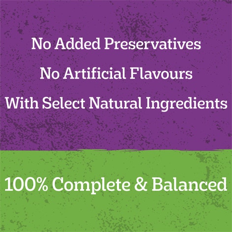 image 9310022034602_4_PEDIGREE_Adult_Wet_Dog_Food_with_Chicken__Rice___Vegies_Homestyle_1