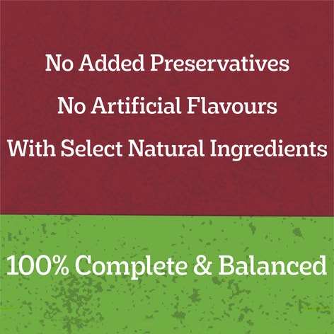 image 9310022034701_4_PEDIGREE_Adult_Wet_Dog_Food_with_Beef__Pasta___Vegies_Homestyle_1