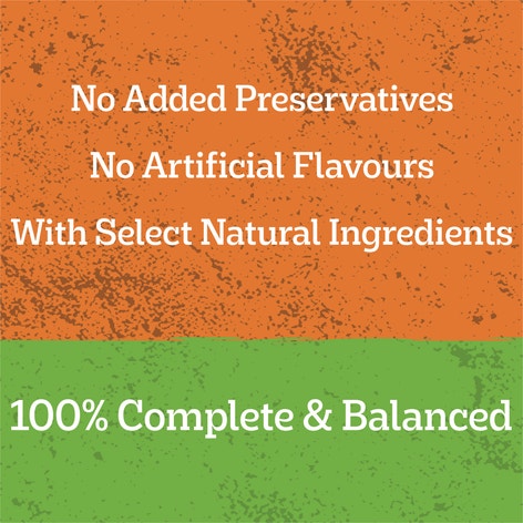 image 9310022314902_4_PEDIGREE_Adult_Wet_Dog_Food_with_Five_Kinds_of_Meat_Loaf_Grab-a-Slab_12x700g_Cans