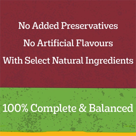 image 9334214031378_4_PEDIGREE_Adult_Wet_Dog_Food_with_Beef___Vegies_Loaf_Grab-a-Slab_12x700g_Cans