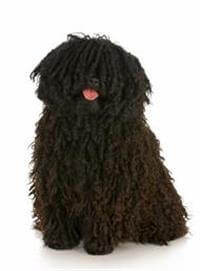 Brushed puli clearance