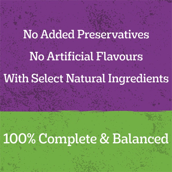 image 9310022018107_4_PEDIGREE_Adult_Wet_Dog_Food_with_Chicken__Vegies___Gravy_Casserole1