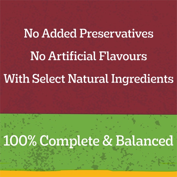 image 9310022018206_4_PEDIGREE_Adult_Wet_Dog_Food_with_Beef__Vegies___Gravy_Casserole_700g_Can