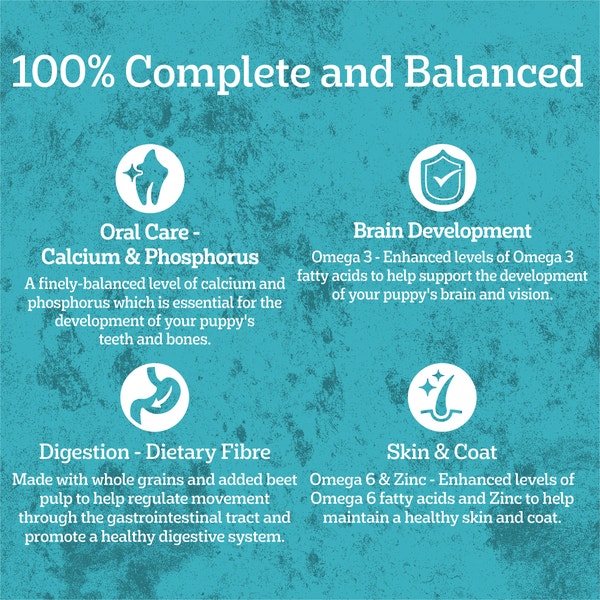 image 9310022161100_4_PEDIGREE_Puppy_Dry_Dog_Food_Chicken_with_Rice_2