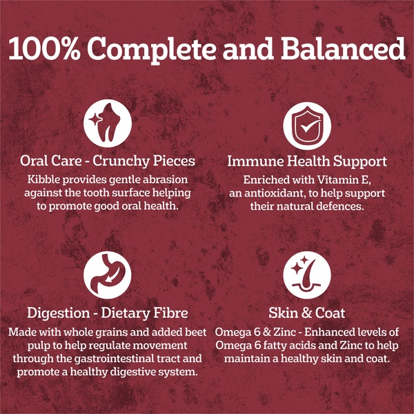 image 9310022169502_4_PEDIGREE_Adult_Dry_Dog_Food_with_Real_Beef_20kg%20%281%29