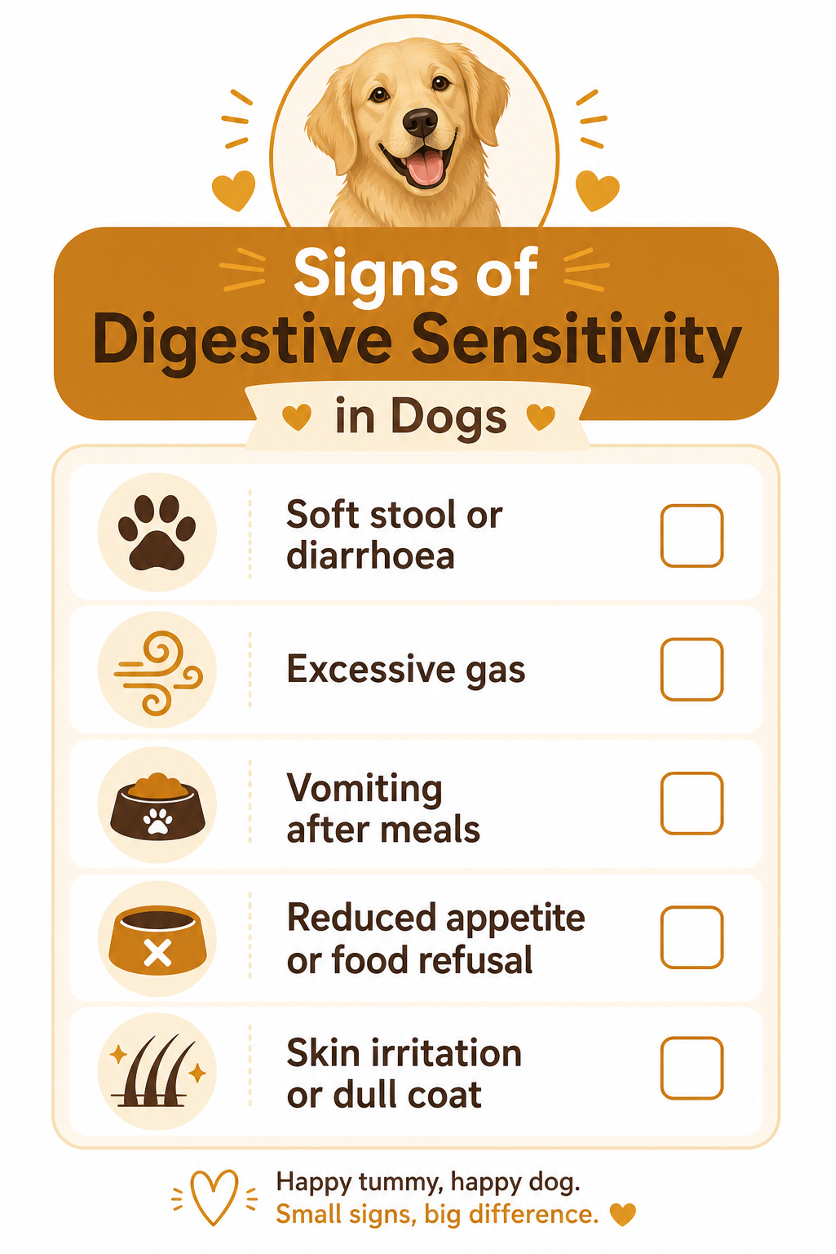Digestive Sensitivity Signs